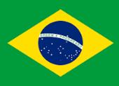 35 Brazil Marine Premium Brazil: Largest share of