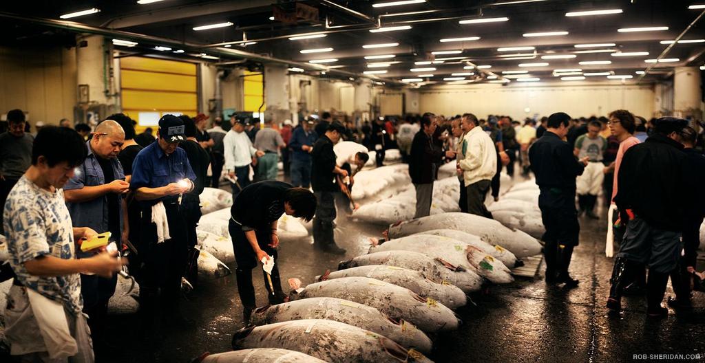 Tsukiji Outer Fish Market and Sushi Workshop CUL220 RM 609 RM 568 Original Schedule : Tsukiji 9:00a.m. Jan. 7 Mar 18, May 2 - Dec 29 : Mon., Thu., Fri.