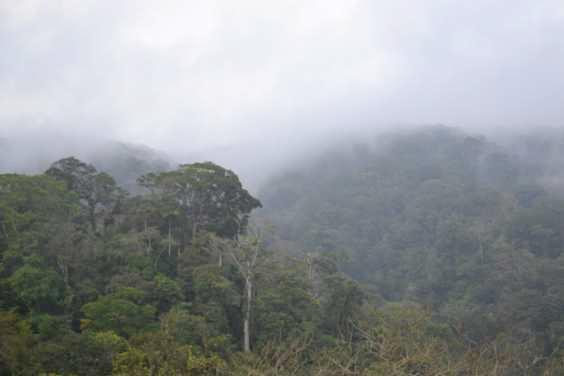 The Jaguar Challenge Tour Visit the cloud forest & enjoy