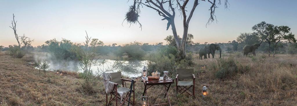 Unspoilt Africa Situated in the Timbavati Private Nature Reserve, Kings Camp faces an open savanna plain with a waterhole, which is frequented by