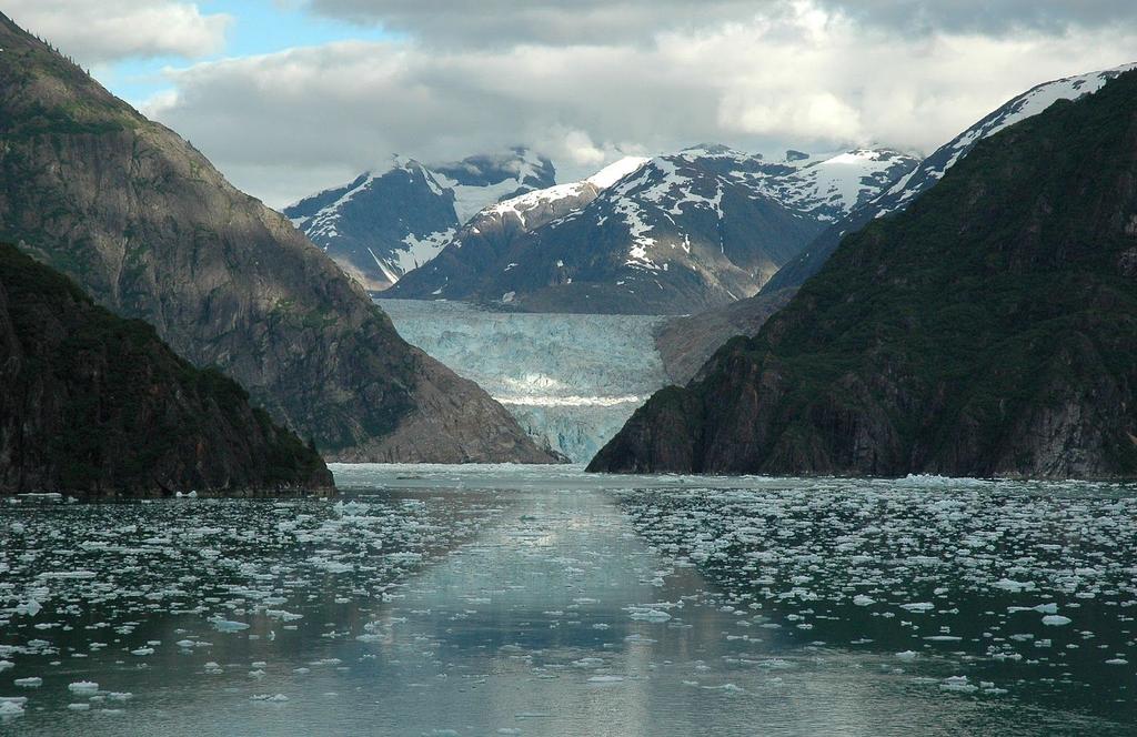 TUESDAY, JULY 31 / TRACY ARM FJORDS & GLACIER / 7:00 AM 12:00 PM Framed by mountains on either side, the glaciers