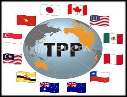 Trans Pacific Partnership (TPP) Benefits Tariff will be free or decreased. Raising FDI to VN. Increasing in export to members of TPP.