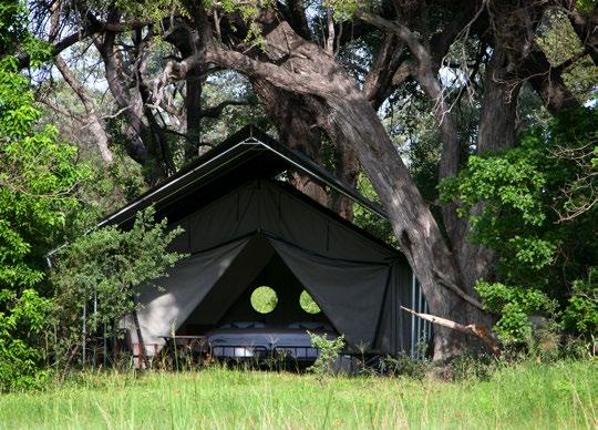 WHAT GUESTS CAN EXPECT TO DO AT MACHABA Morning and evening game drives Walking (guide dependant) Mokoros (year round, water dependent) Game viewing from the comfort of your own tent Catch up on some
