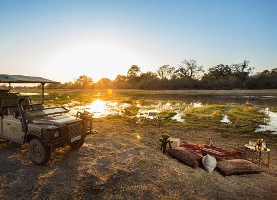 from morning activity Brunch Afternoon at leisure possible activities: Swimming pool, curio shop, spa Afternoon Tea Depart on afternoon game drive Return from game drive Dinner under the stars