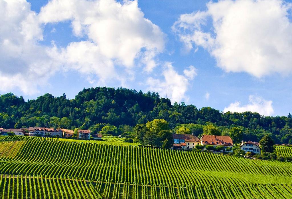 holiday in the magnificent Alsatian countryside on the
