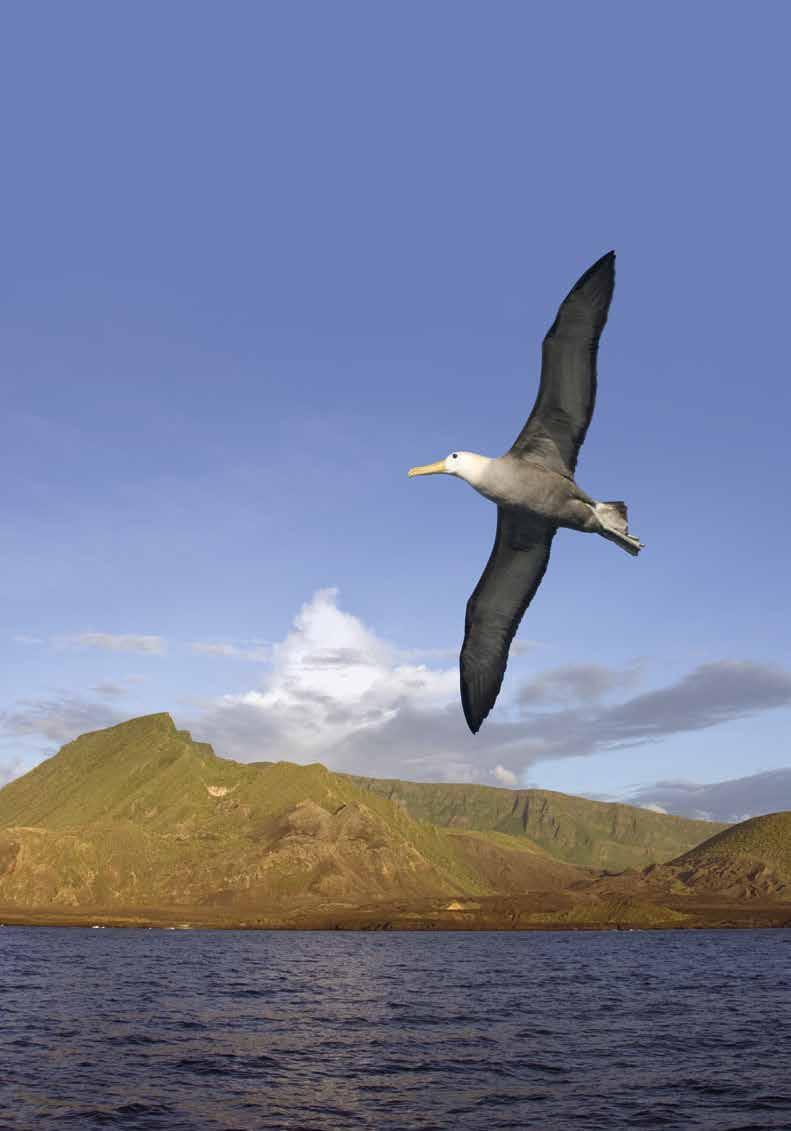 Ecuador s Natural Wonders Island Hopping in the Galapagos aboard La Pinta combined with a river cruise along the