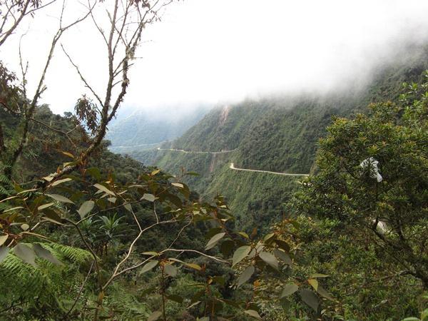 The road from Yungas to Coroico begins at a high altitude where you will have fantastic views of snow-capped peaks.