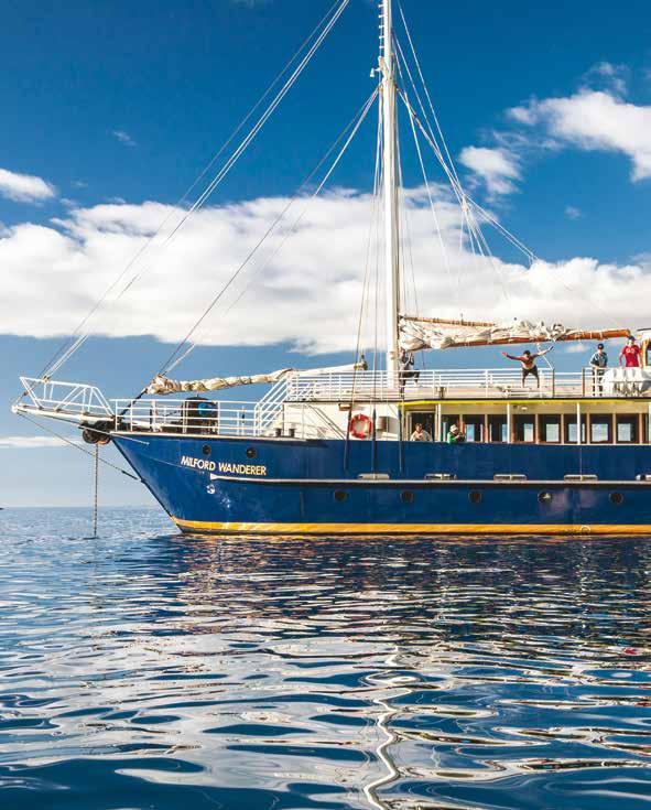 MILFORD SOUND Overnight Cruises Your choice of vessel: MILFORD MARINER Private cabins with ensuite bathrooms ( Sleeps 60) Three course evening buffet dinner, cooked