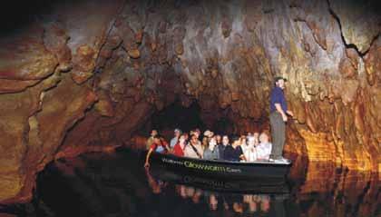 Northern Overlander 4 nights accommodation Waitomo Glowworm Caves including lunch Maori Hangi & Concert Te Puia Geothermal Experience Rainbow Springs Agrodome Sheep Show Wellington City Tour