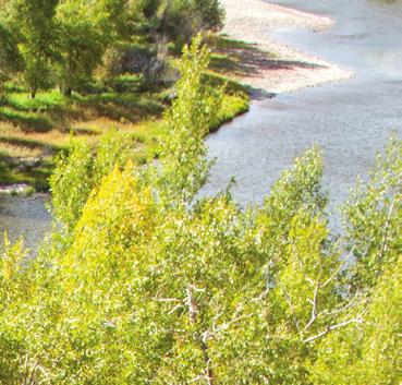 Golf: Riverbend Lodge is located less than 2 miles from the exclusive Old Baldy Club, offering a championship-quality 18-hole golf course, guided fishing on the North Platte River and fine