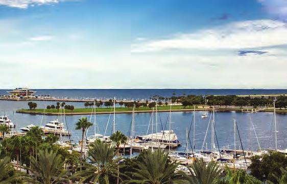 Petersburg, FL hotel is near the area's most popular attractions, including the Salvador Dalí Museum, the Morean Arts Center, Tropicana Field and a variety of pristine Florida beaches.