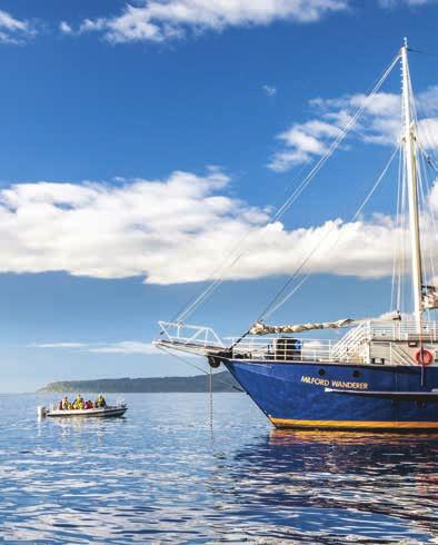MILFORD SOUND Overnight Cruises MILFORD WANDERER Your choice of vessel: MILFORD MARINER Private cabins with ensuite bathrooms ( Sleeps 60) Three course buffet dinner,