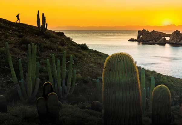 Discover authentic, enchanting BAJA CALIFORNIA Forget Cabo San Lucas.