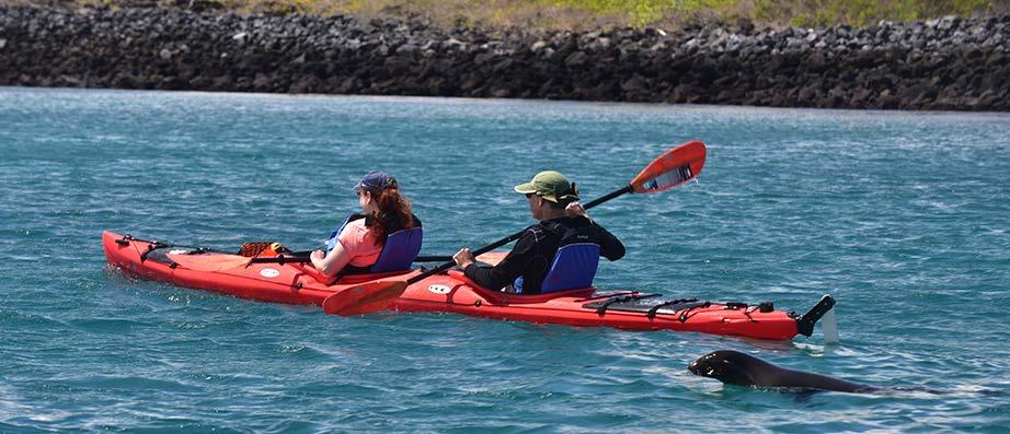 GALAPAGOS ADVENTURES Effort: Moderate. No experience necessary. Activities: Sea kayaking, hiking, mountain biking, snorkeling, and wildlife interaction.