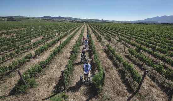 Segway Tours: a beautiful glide through the farm and vineyards.