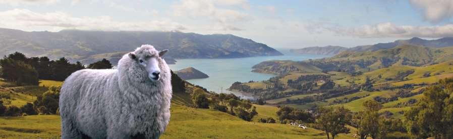 NEW ZEALAND A G a r d e n P a r a d i s e Join the Northwest Horticultural Society for a Garden Adventure to New Zealand January 14-31, 2019 Escape winter!