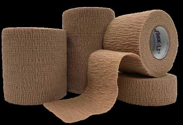 NO LATEX FOAM BANDAGE CoFlex LF 2 is available in single color cases or a color pack for variety!