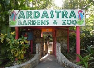 Ardastra Gardens zoo Explore more than 4 acres of tropical gardens, learning about various animals, the