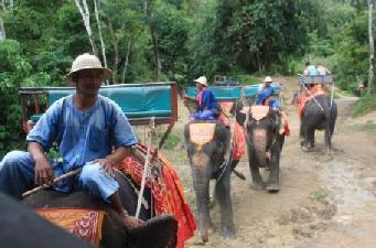 RPHU04WM Elephant Riding Adventure with meal Duration: approx. 7.5 hours (include travelling time) PARTICIPATNS REQUIRED: MIN. 25 PAX & MAX.