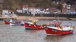 (Alternatively you can cross over at the Runswick Bay Hotel and walk straight down the steep bank on the road.) At a turning circle, keep on down towards the Boats moored at Staithes shore.