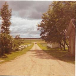 The cow barn is on the left, then the chicken coop,