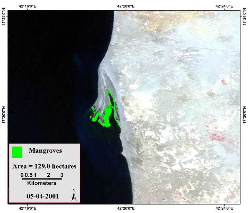 13: Satellite image of mangroves shown in green