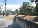 DRAFT Photo 7: View at the maintenance road s intersection with South