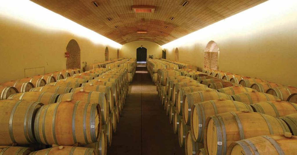 We will visit Concha y Toro winery, the main producer and exporter of wines of Latin America and one of the 10 biggest wine companies in the