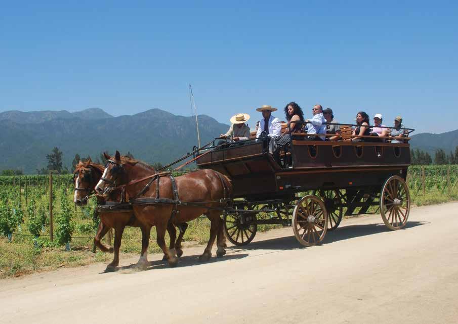 WINE & CHILEAN FOLKLORE The Chilean countryside and its surrounding are a mix of the Chilean heritage and the influences acquired along the years.