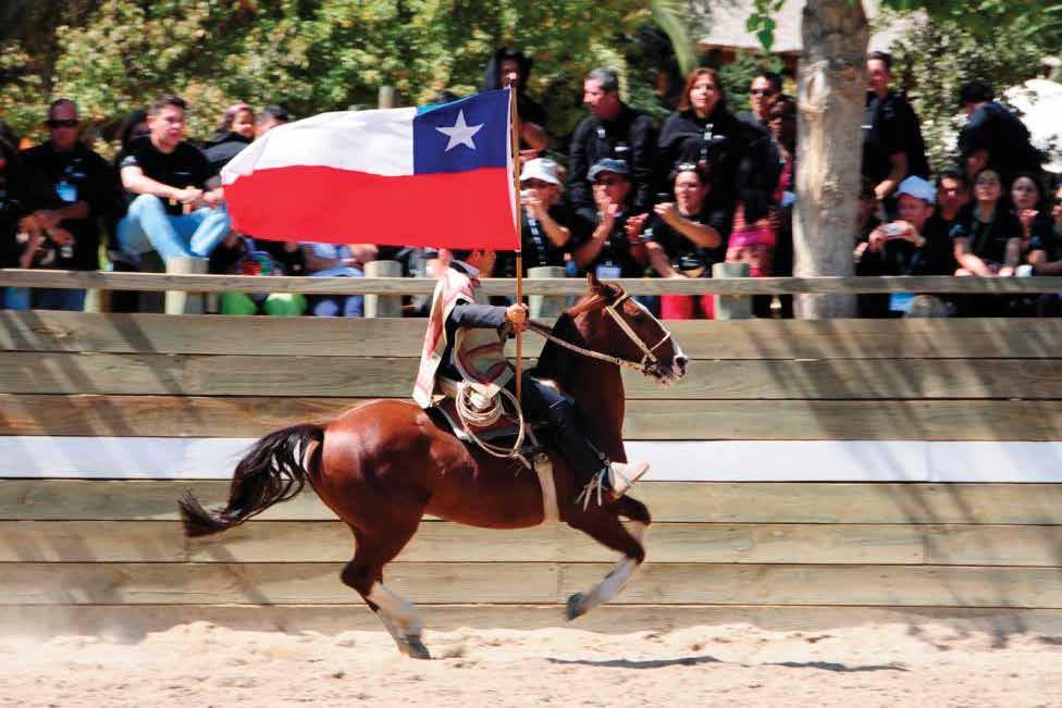 An equestrian show prepared by professional riders, that in a traditional half-moon shaped court (called Medialuna), exhibit their expertise on these