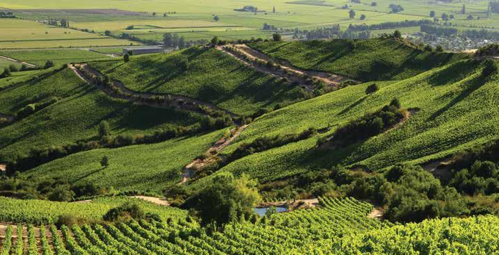 WINE ROUTE OF THE COLCHAGUA VALLEY The Colchagua Valley is located at 180 kilometers south from Santiago and it is surrounded by an amazing landscape.