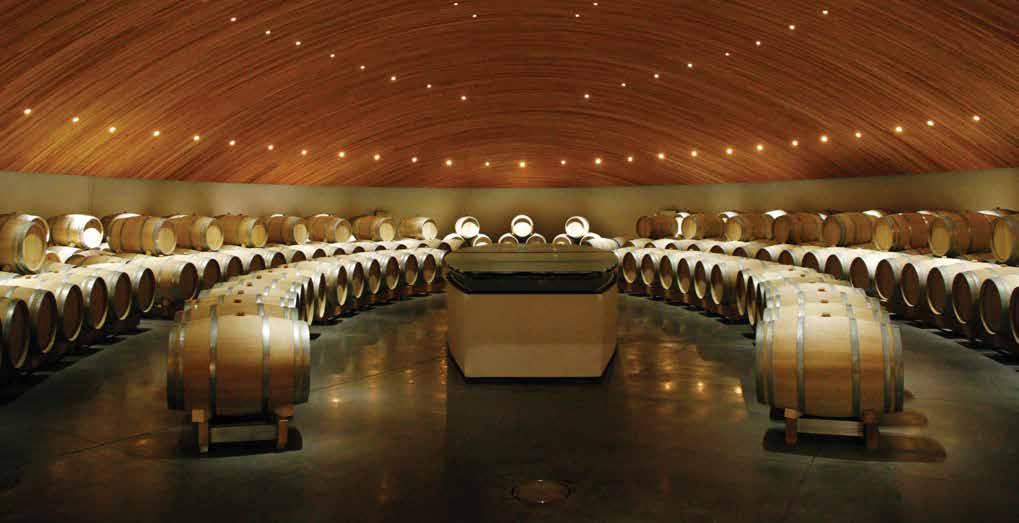 Inside Colchagua you can find a micro-valley called Apalta, which has been recognized as the most awarded valley of the country.