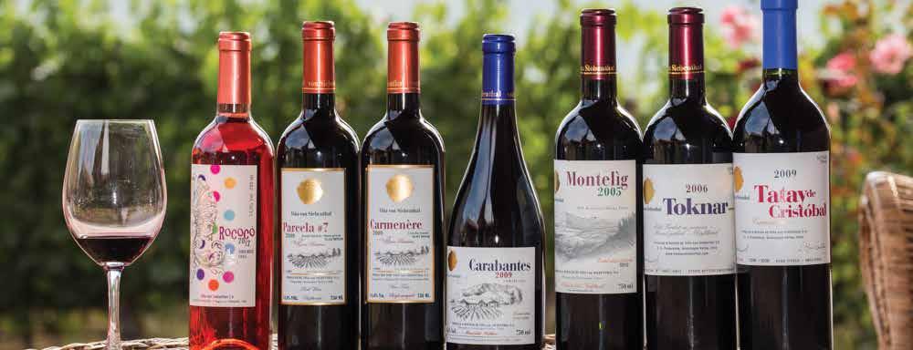 WINE ROUTE OF THE ACONCAGUA VALLEY We invite you to visit the Aconcagua Valley, located at 90 kilometers north east from Santiago and that is characterized by the production of wine