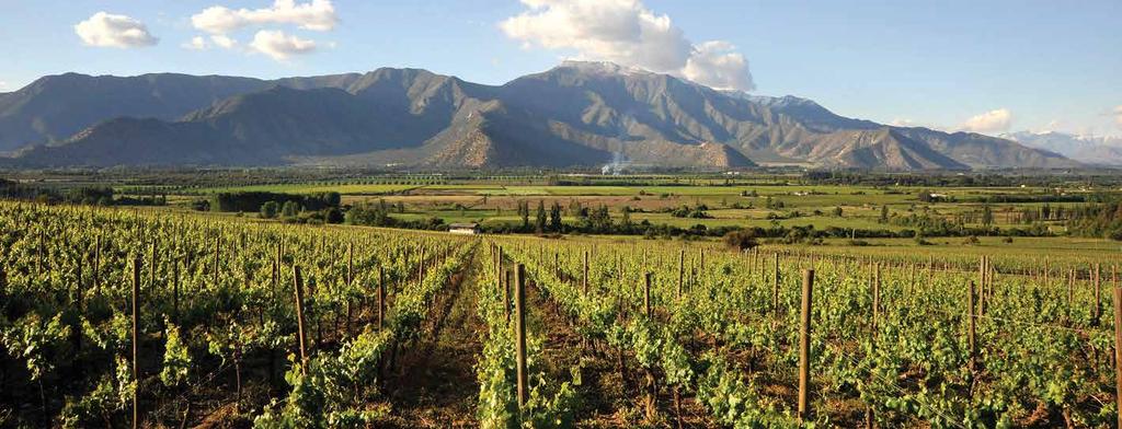 We will leave Santiago heading north and after an hour of travel, we will go into a mountain landscape of green hills and beautiful farming areas, arriving then to our first winery