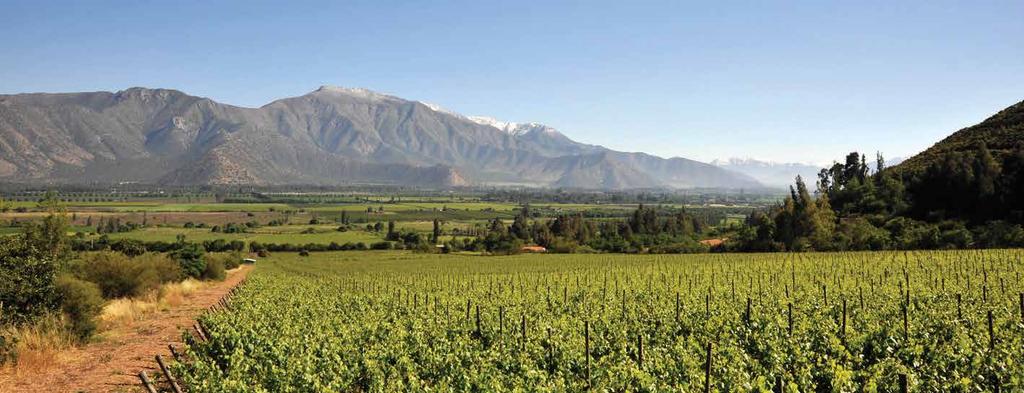 WINE ROUTE OF THE ACONCAGUA VALLEY & PORTILLO We invite you to visit the Aconcagua Valley, located at 90 kilometers north east from Santiago and that is characterized by the
