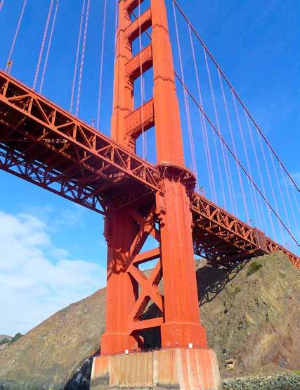 california day cruises October through May Dolphin Charters offers varied and interesting day cruises in the San Francisco Bay and its surrounding waterways.