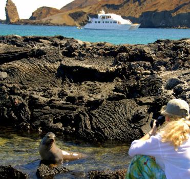 Protected by distance and geography, the Galapagos ecosystem has flourished through the eons, much of its
