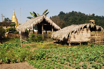 Lowland treks often begin or end in Machanbaw, home to Rawang, Kachin and Khamti Shan residents, as well as to Bamar