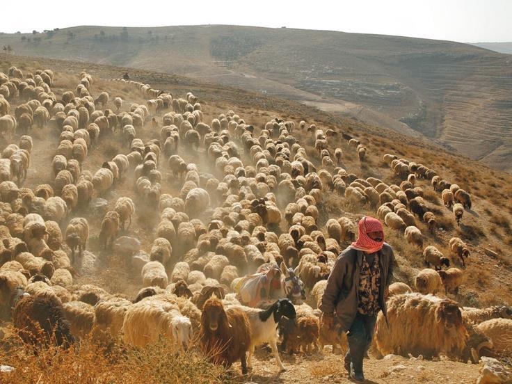 They practiced a blend of pastoralism (animal herding) in the winter, and agriculture in the summer. Instead of living in cities, they lived in small seasonal villages.
