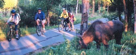 Go biking on the Costal Trail http://www.alaska-bike-rentals.com/default.aspx 333 W. 4 th Ave. #206 Anchorage, AK 99501 (907)279-5293, fax (907)279-8338 BicycleAlaska@aol.