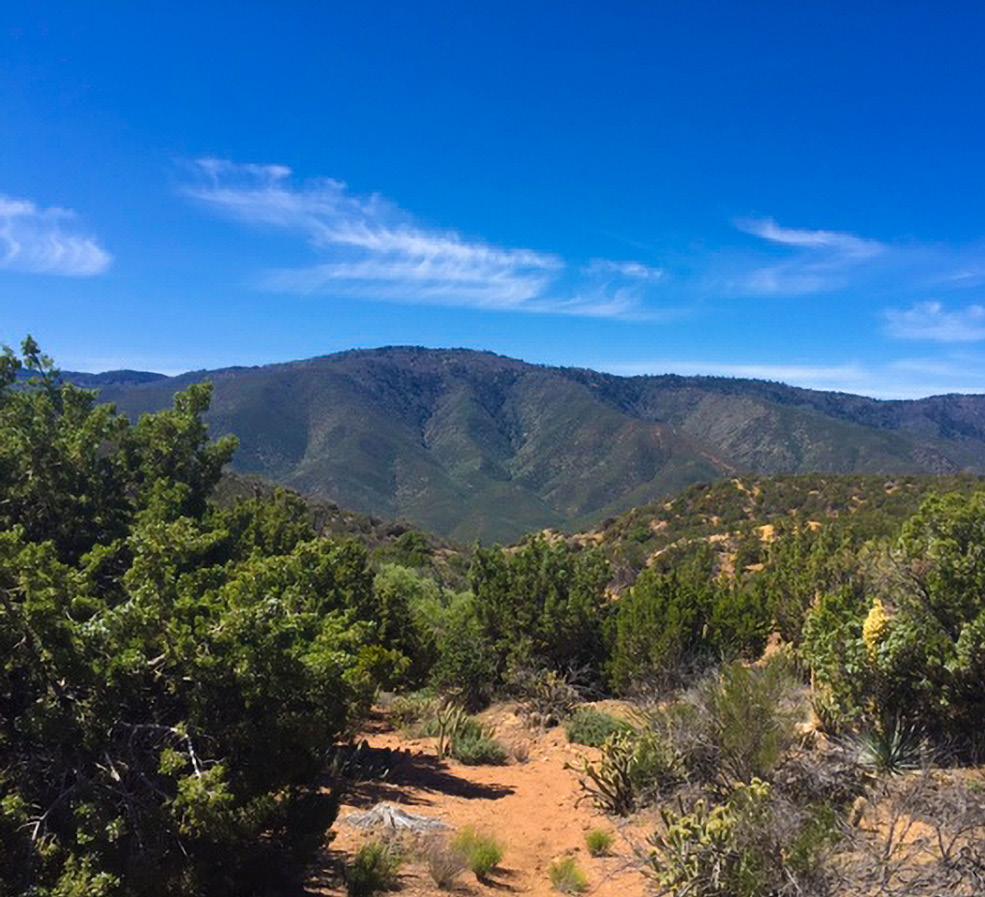 San Felipe Hills Total Acreage: 200 acres Miles of PCT: none Final Purchase Price: $190,000 Funding Source: Pacific Crest Trail Mitigation Funds Acquisition Entity: