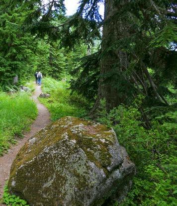 Special Benefits: The Pacific Crest Trail at Stevens Pass is a gateway to some of the most spectacular wilderness in the North Cascades.