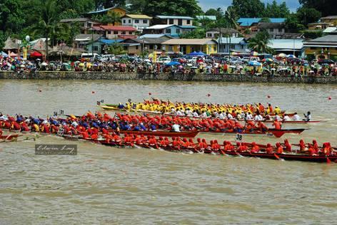 paddlers, over 48 races