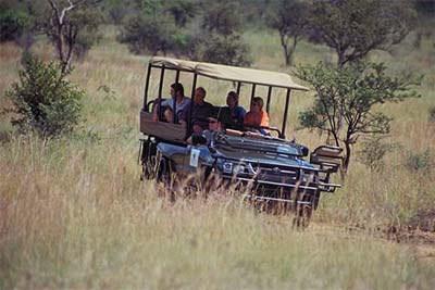 The varied habitats on Mabula Game Reserve provide ideal conditions for an astounding selection of large mammals including the Big Five, other predators such as