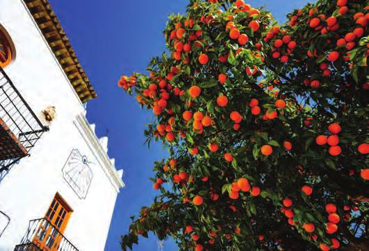 BENALMÁDENA PUEBLO Benalmádena s old town is a 30 minute stroll away, a traditional Andalusian village of whitewashed