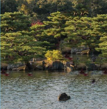 Experience the time-honored formality of the tea ceremony and look for the four different types of classical gardens: the paradise garden, kare-sansui (dry landscape) garden, stroll garden and tea