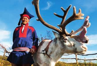 The world s highest concentration of reindeer held as livestock is on the Finn mark plateau, where the Sámis have moved their herds back and forth the inland to the coast for centuries.