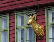 In addition to seeing all of these sites, our well-informed guides take you on a short walk through the UNESCO-listed Bryggen district, which dates back to the 14th century.