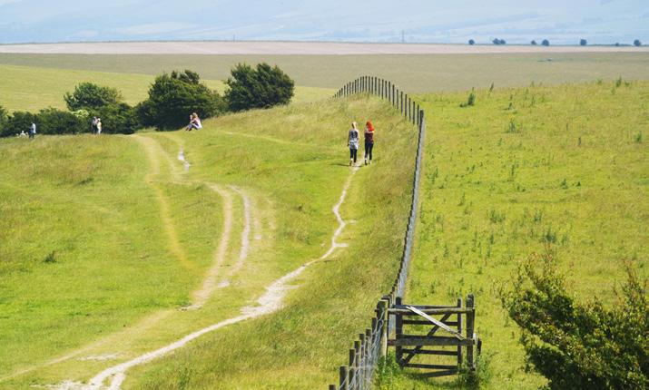 expansive fields, beautiful woodlands, picturesque villages and huge amounts of history. The South Downs Way is well marked and easy to follow.