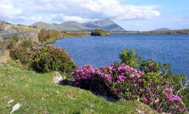 The Wild Atlantic Way Wild, Rugged, Liberating All of Connemara Lettings self catering homes are along the Wild Atlantic way with stunning beaches, breathtaking views and have some of the most